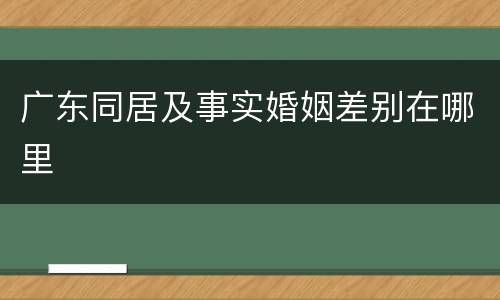广东同居及事实婚姻差别在哪里