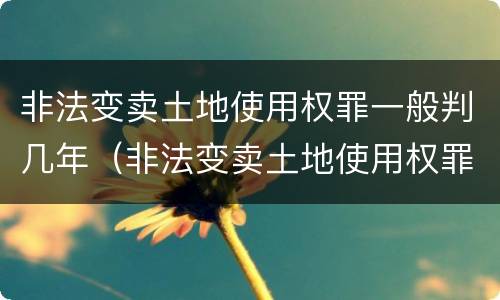非法变卖土地使用权罪一般判几年（非法变卖土地使用权罪一般判几年以上）