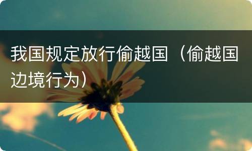 我国规定放行偷越国（偷越国边境行为）