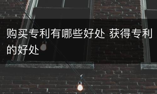 购买专利有哪些好处 获得专利的好处