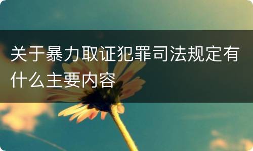 关于暴力取证犯罪司法规定有什么主要内容