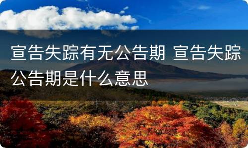 宣告失踪有无公告期 宣告失踪公告期是什么意思