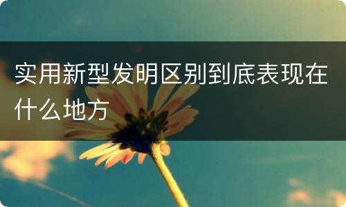 实用新型发明区别到底表现在什么地方