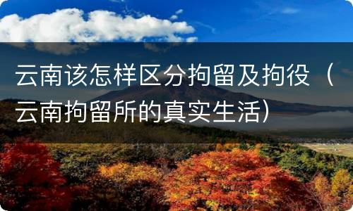 云南该怎样区分拘留及拘役（云南拘留所的真实生活）