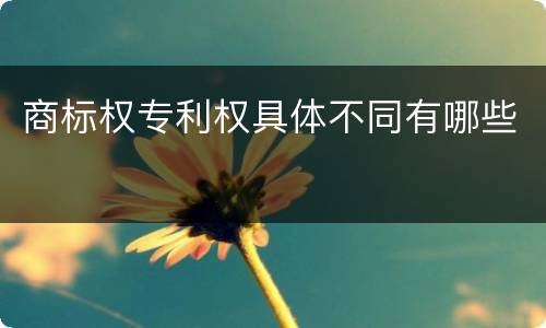 商标权专利权具体不同有哪些