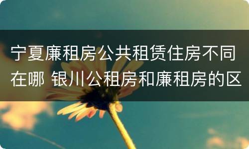 宁夏廉租房公共租赁住房不同在哪 银川公租房和廉租房的区别
