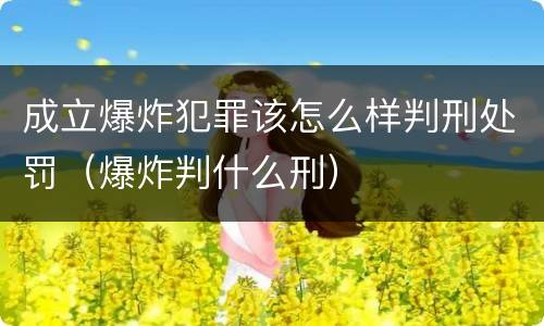 成立爆炸犯罪该怎么样判刑处罚（爆炸判什么刑）