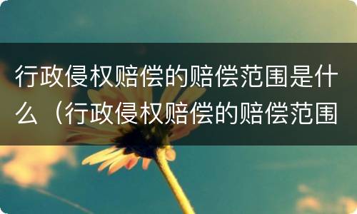 行政侵权赔偿的赔偿范围是什么（行政侵权赔偿的赔偿范围是什么意思）