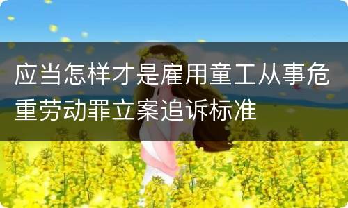 应当怎样才是雇用童工从事危重劳动罪立案追诉标准