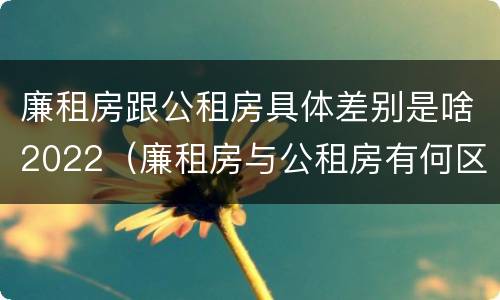 廉租房跟公租房具体差别是啥2022（廉租房与公租房有何区别）