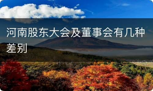 河南股东大会及董事会有几种差别