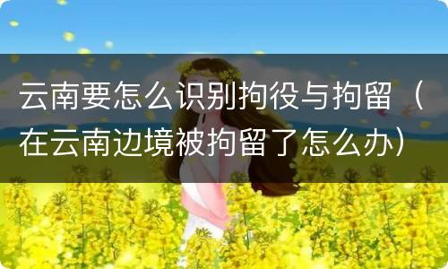 云南要怎么识别拘役与拘留（在云南边境被拘留了怎么办）
