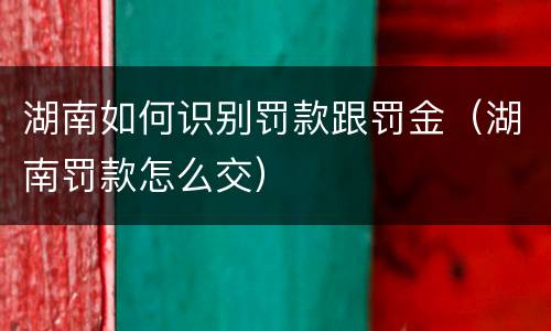 湖南如何识别罚款跟罚金（湖南罚款怎么交）