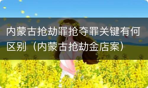 内蒙古抢劫罪抢夺罪关键有何区别（内蒙古抢劫金店案）