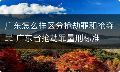 广东怎么样区分抢劫罪和抢夺罪 广东省抢劫罪量刑标准