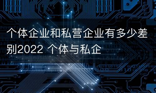 个体企业和私营企业有多少差别2022 个体与私企