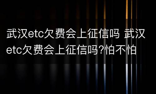 武汉etc欠费会上征信吗 武汉etc欠费会上征信吗?怕不怕