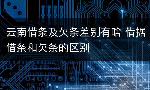云南借条及欠条差别有啥 借据借条和欠条的区别