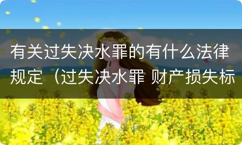 有关过失决水罪的有什么法律规定（过失决水罪 财产损失标准）
