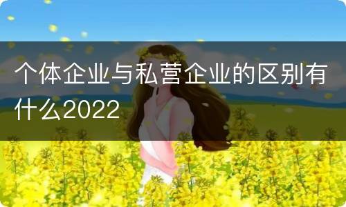个体企业与私营企业的区别有什么2022