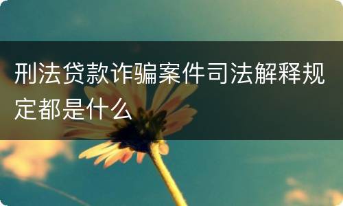 刑法贷款诈骗案件司法解释规定都是什么