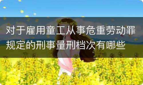 对于雇用童工从事危重劳动罪规定的刑事量刑档次有哪些