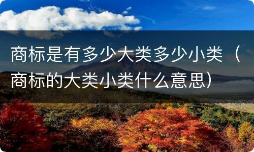 商标是有多少大类多少小类（商标的大类小类什么意思）