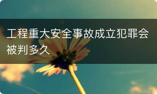 工程重大安全事故成立犯罪会被判多久
