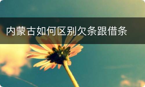 内蒙古如何区别欠条跟借条