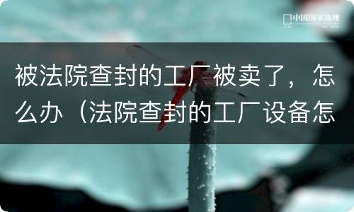 被法院查封的工厂被卖了，怎么办（法院查封的工厂设备怎么卖的）