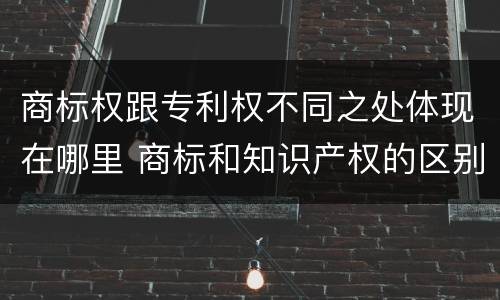 商标权跟专利权不同之处体现在哪里 商标和知识产权的区别