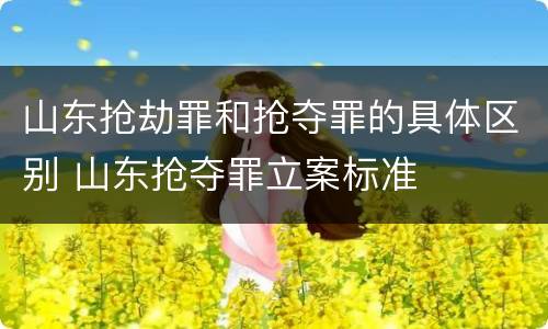 山东抢劫罪和抢夺罪的具体区别 山东抢夺罪立案标准