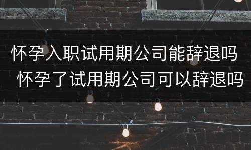 怀孕入职试用期公司能辞退吗 怀孕了试用期公司可以辞退吗