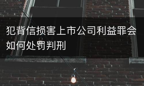 犯背信损害上市公司利益罪会如何处罚判刑