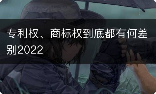 专利权、商标权到底都有何差别2022