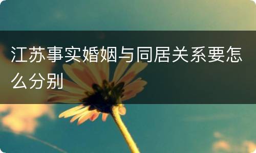 江苏事实婚姻与同居关系要怎么分别