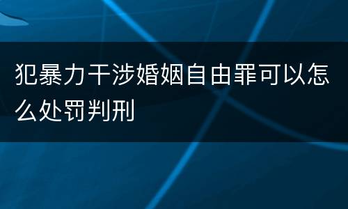 犯暴力干涉婚姻自由罪可以怎么处罚判刑