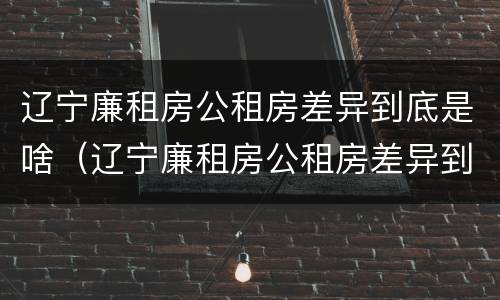 辽宁廉租房公租房差异到底是啥（辽宁廉租房公租房差异到底是啥样的）