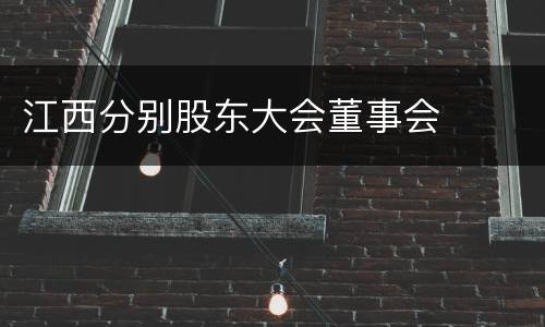江西分别股东大会董事会