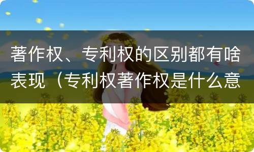 著作权、专利权的区别都有啥表现（专利权著作权是什么意思）