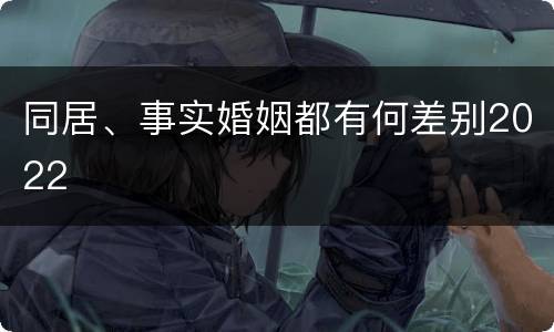 同居、事实婚姻都有何差别2022