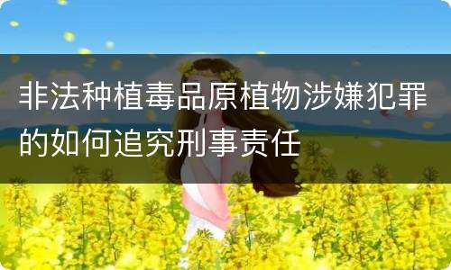 非法种植毒品原植物涉嫌犯罪的如何追究刑事责任