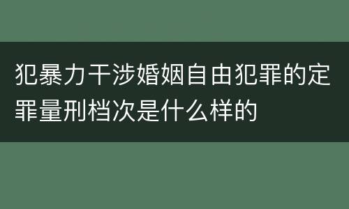 犯暴力干涉婚姻自由犯罪的定罪量刑档次是什么样的