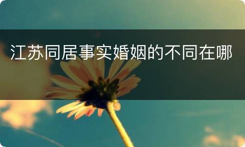 江苏同居事实婚姻的不同在哪
