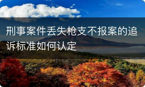 刑事案件丢失枪支不报案的追诉标准如何认定