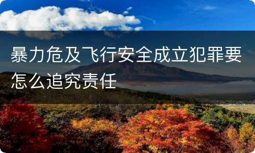 暴力危及飞行安全成立犯罪要怎么追究责任