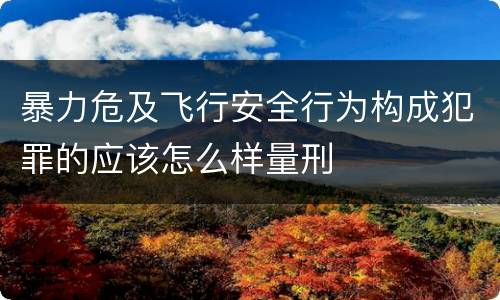 暴力危及飞行安全行为构成犯罪的应该怎么样量刑