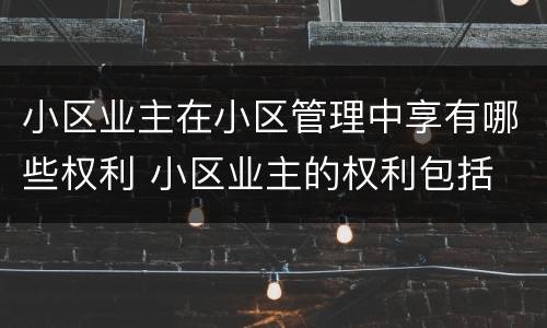 小区业主在小区管理中享有哪些权利 小区业主的权利包括