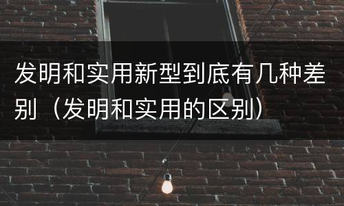 发明和实用新型到底有几种差别（发明和实用的区别）