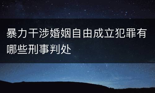 暴力干涉婚姻自由成立犯罪有哪些刑事判处